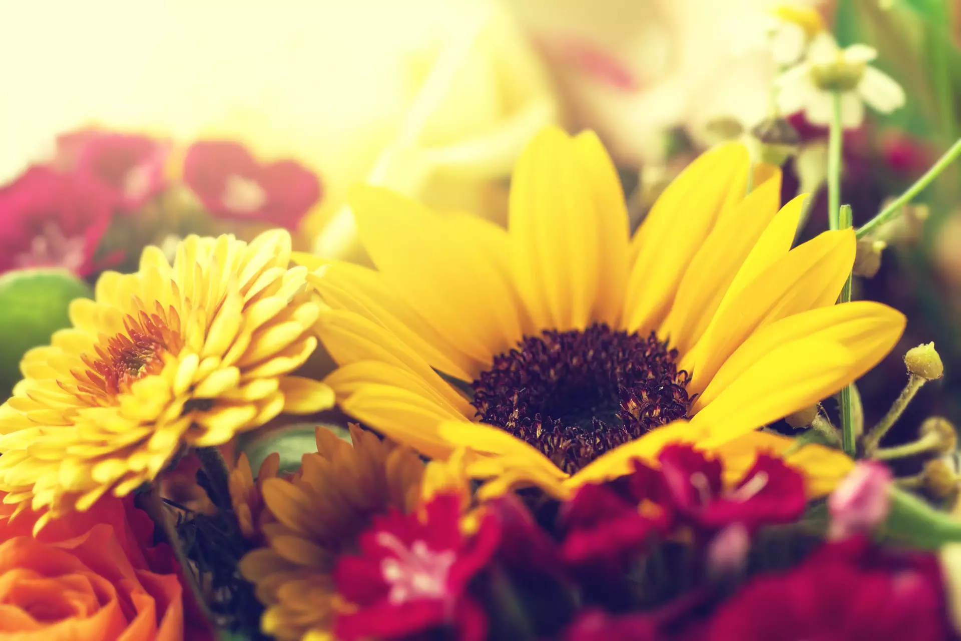 Q2 summer flowers such as sunflowers tropical anthuriums jasmine and tuberose