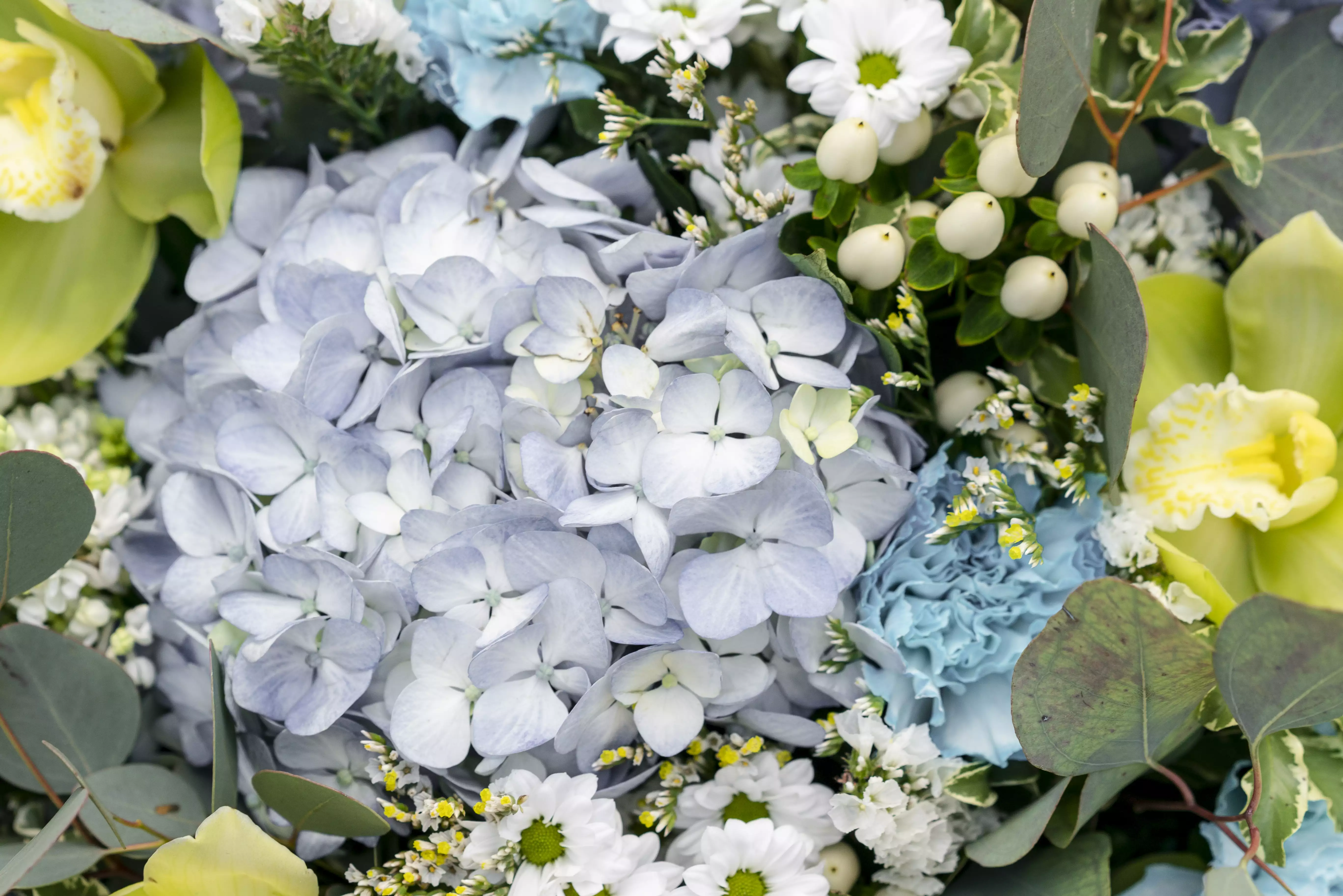 Q3 monsoon flowers with lotus hydrangea lisianthus and lush greenery themes