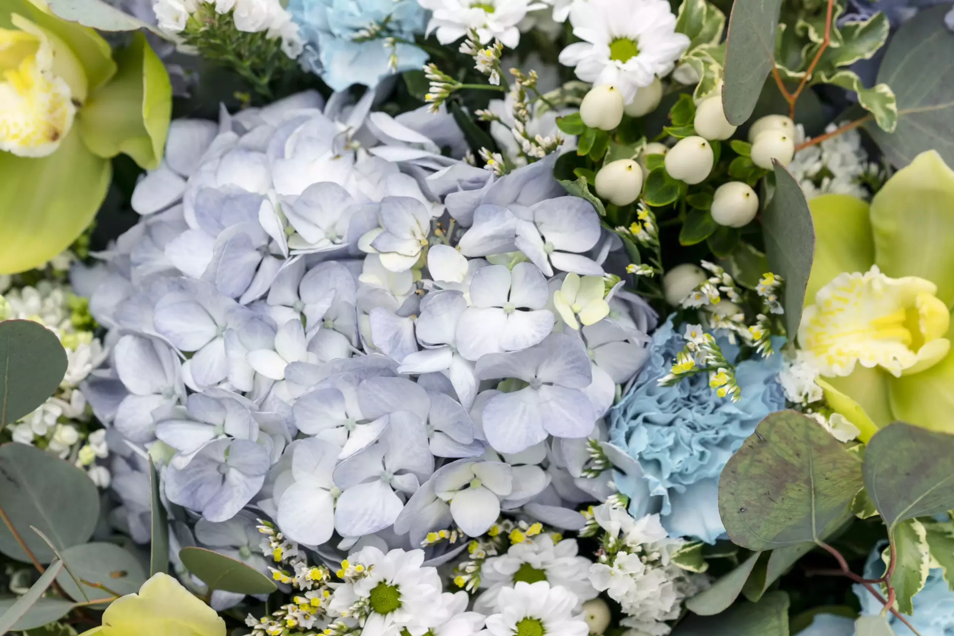 Q3 monsoon flowers with lotus hydrangea lisianthus and lush greenery themes