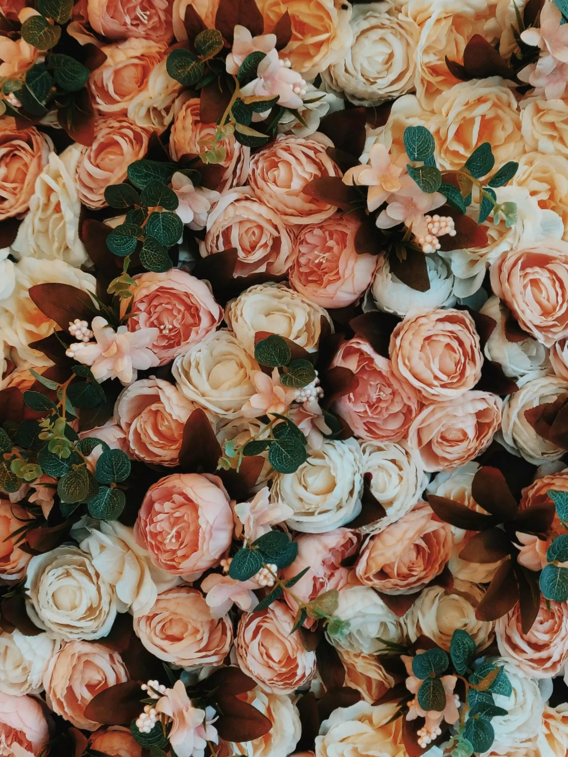 Roses