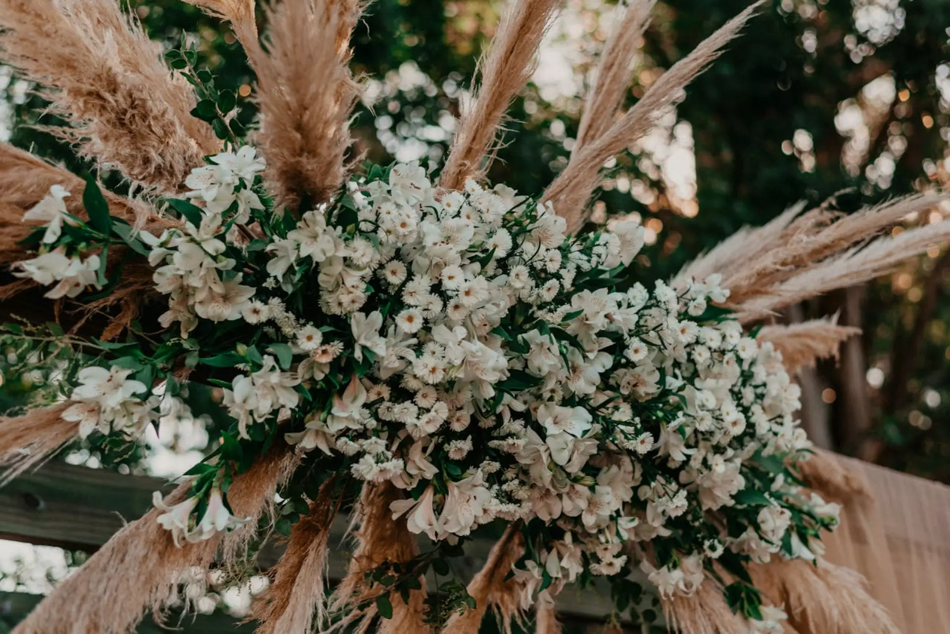 Wedding mandap baby's breath decoration