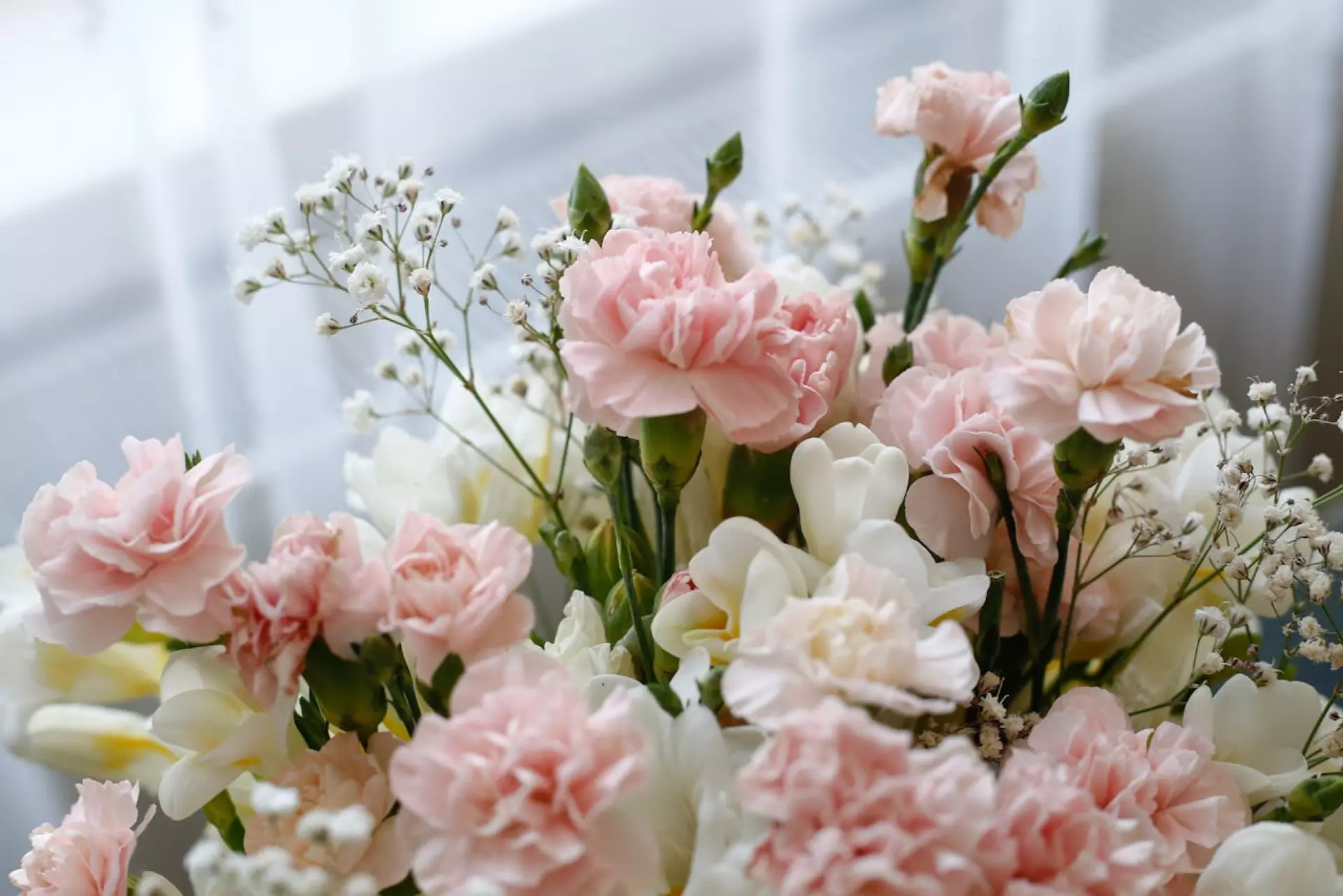 Wedding mandap carnation decoration