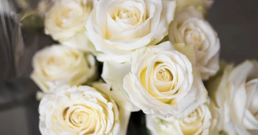 Fresh cut flower storage in bulk orders